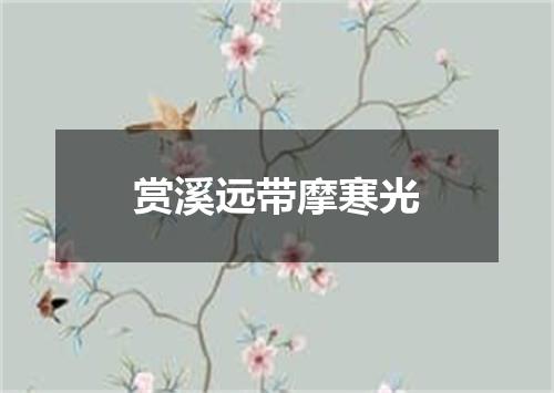赏溪远带摩寒光