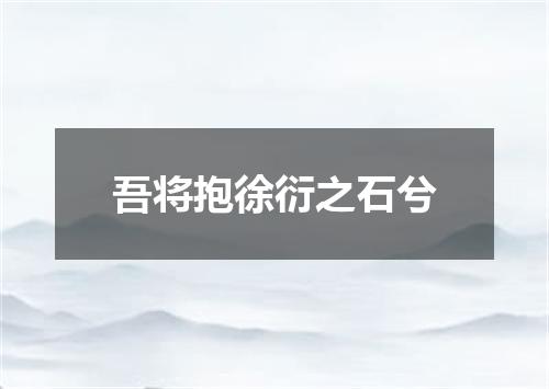 吾将抱徐衍之石兮