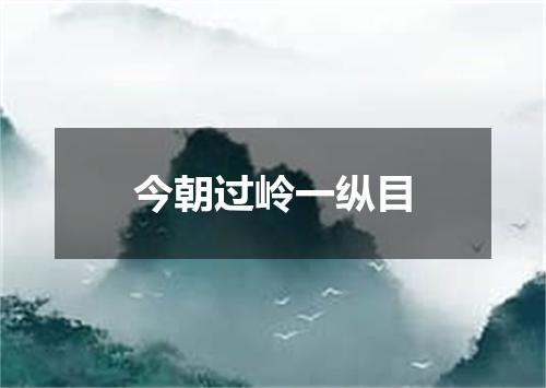 今朝过岭一纵目