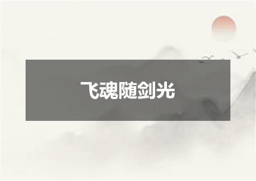 飞魂随剑光