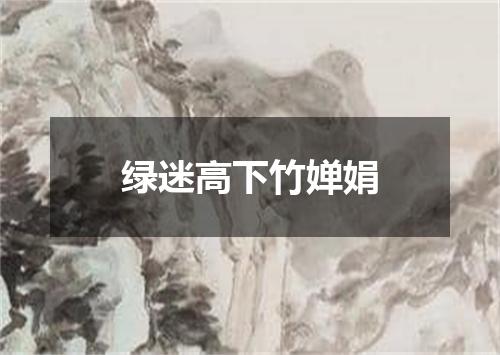 绿迷高下竹婵娟