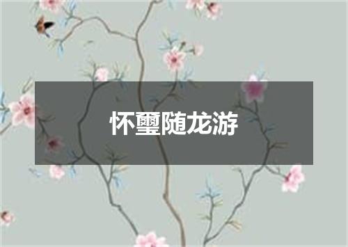 怀璽随龙游