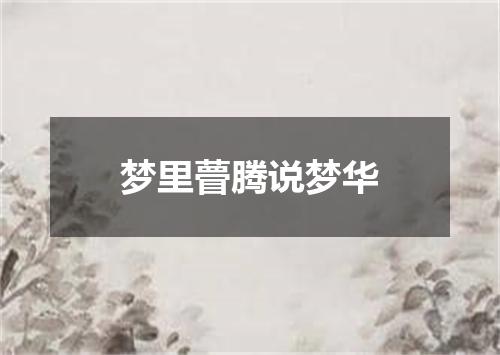 梦里瞢腾说梦华