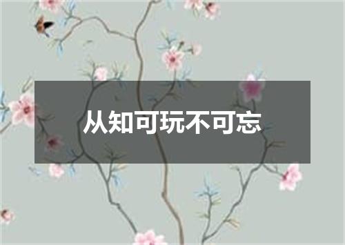 从知可玩不可忘