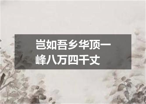 岂如吾乡华顶一峰八万四千丈