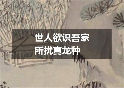 世人欲识吾家所扰真龙种
