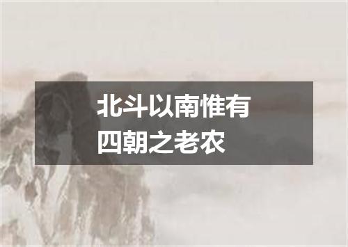 北斗以南惟有四朝之老农
