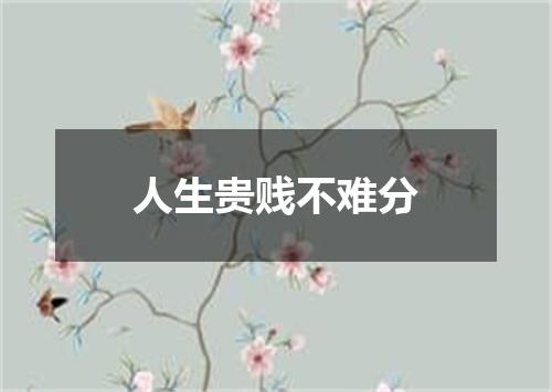 人生贵贱不难分