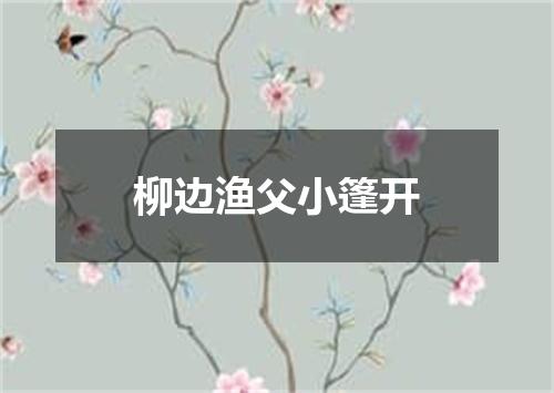 柳边渔父小篷开
