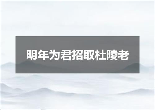 明年为君招取杜陵老
