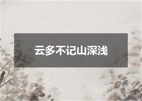 云多不记山深浅