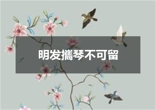 明发攜琴不可留