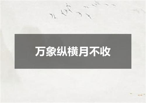 万象纵横月不收
