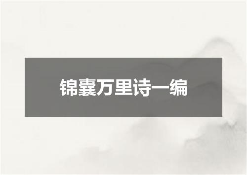 锦囊万里诗一编