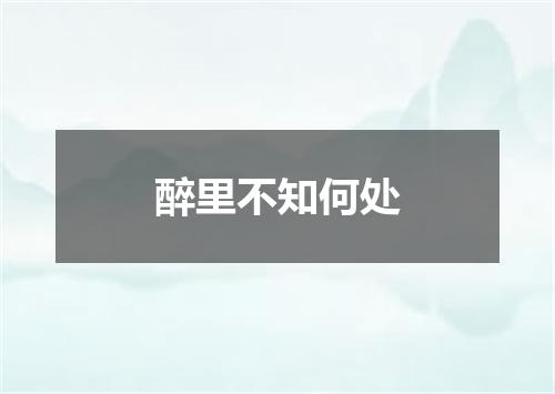 醉里不知何处