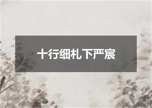 十行细札下严宸
