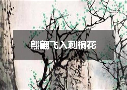 翩翩飞入刺桐花
