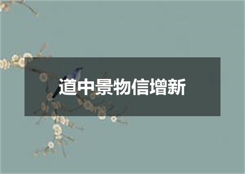 道中景物信增新