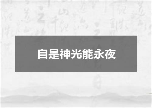 自是神光能永夜