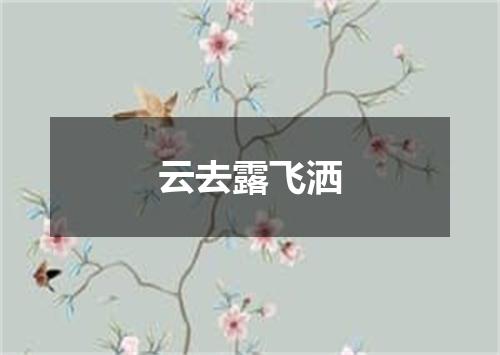 云去露飞洒