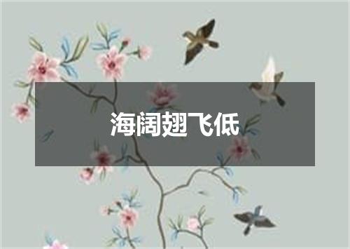 海阔翅飞低