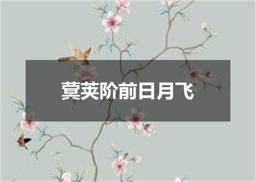 蓂荚阶前日月飞