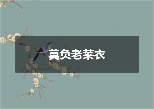 莫负老莱衣