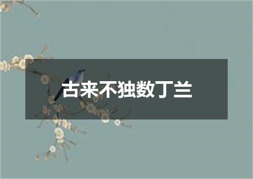 古来不独数丁兰
