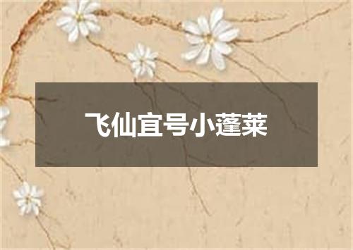 飞仙宜号小蓬莱