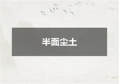 半面尘土