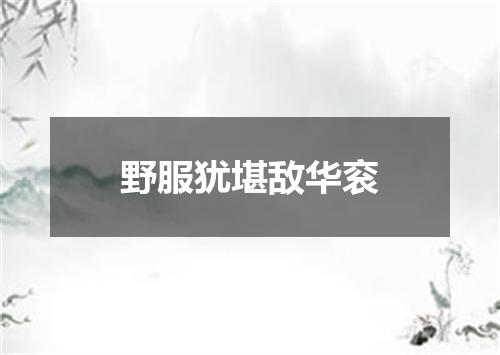 野服犹堪敌华衮