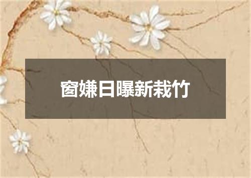 窗嫌日曝新栽竹