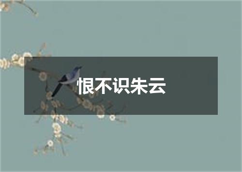 恨不识朱云