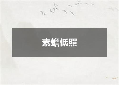 素蟾低照