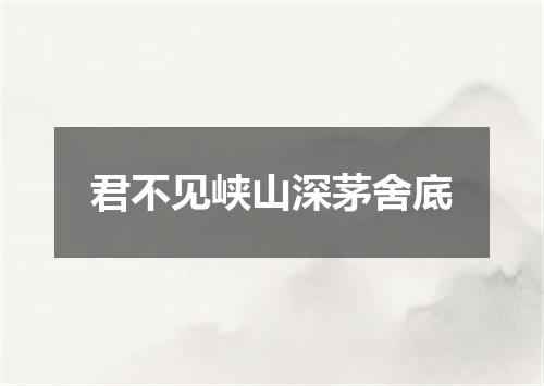 君不见峡山深茅舍底