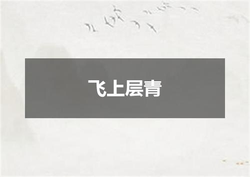 飞上层青