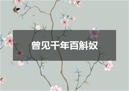 曾见千年百斛奴