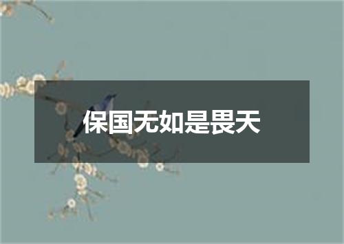 保国无如是畏天