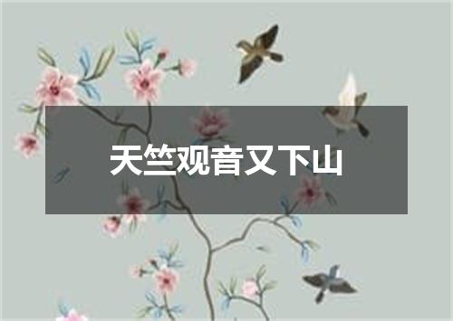 天竺观音又下山