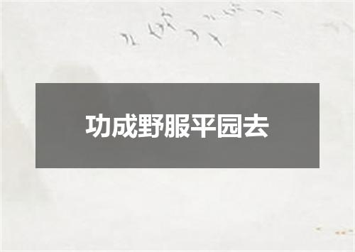 功成野服平园去