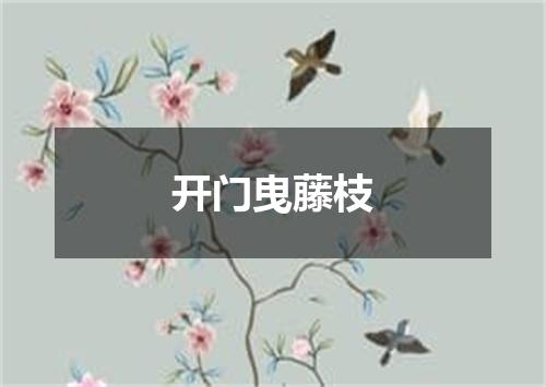 开门曳藤枝