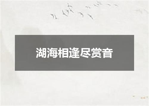 湖海相逢尽赏音