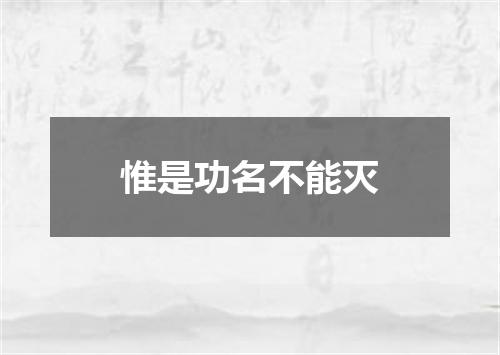 惟是功名不能灭