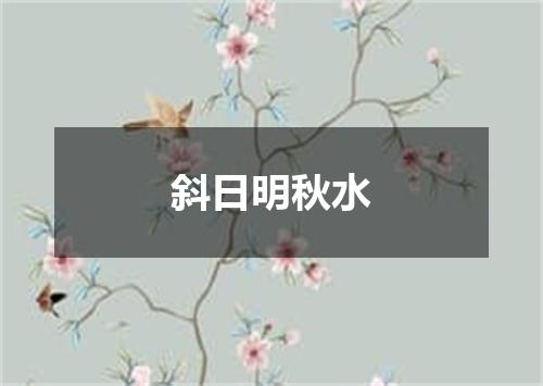 斜日明秋水