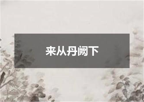 来从丹阙下