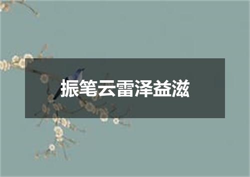 振笔云雷泽益滋