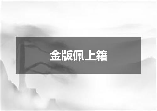 金版佩上籍