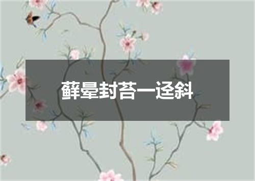 藓晕封苔一迳斜