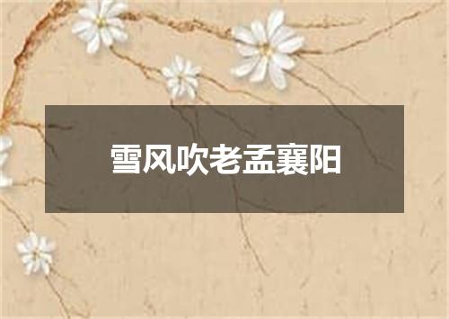 雪风吹老孟襄阳