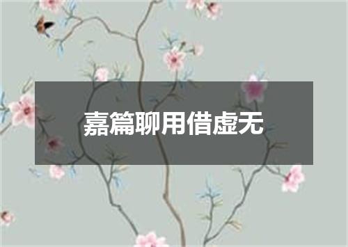 嘉篇聊用借虚无